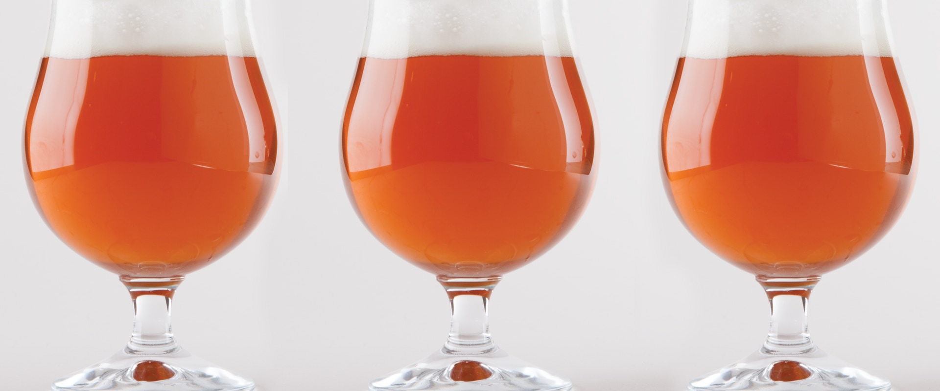 Discover the Art of Home Brewing with Pale Ale