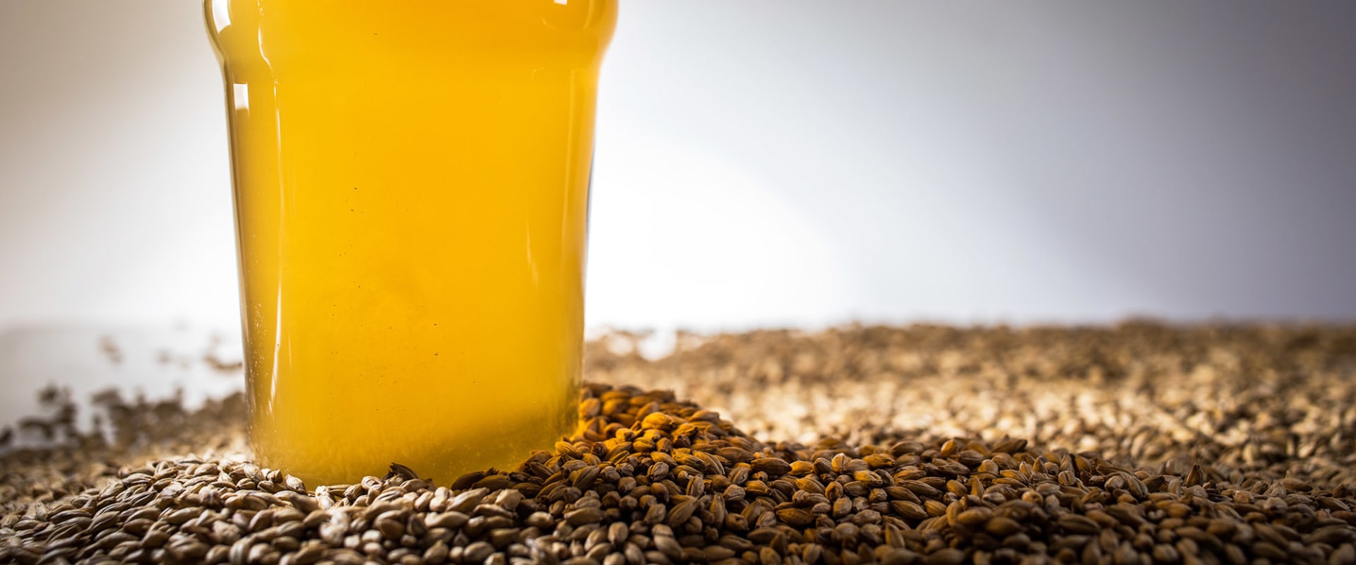 The Basics of Grains for Home Brewing