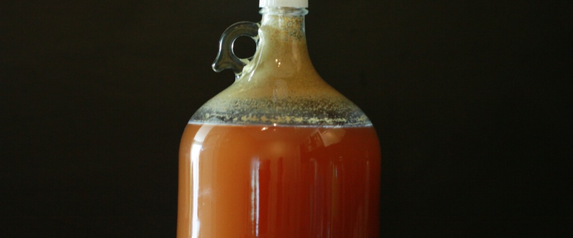 A Beginner's Guide to Fermentation for Home Brewing