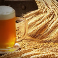 Everything You Need to Know About Wheat Beer