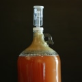 A Beginner's Guide to Fermentation for Home Brewing