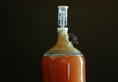 A Beginner's Guide to Fermentation for Home Brewing