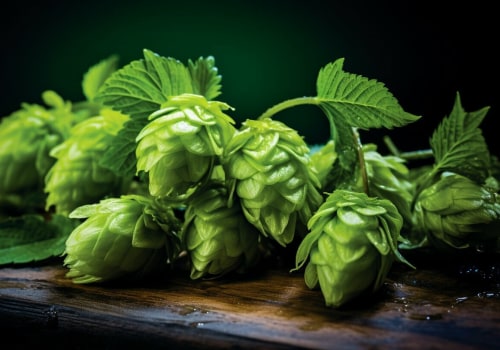 A Comprehensive Guide to Hops for Home Brewing Enthusiasts